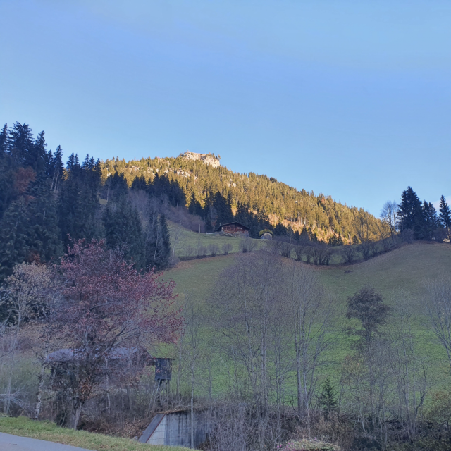 Wer heute in der Schweiz jagen will, braucht eine kantonale Jagdberechtigung. Unter anderem reguliert die Jagd Wildbestände. Die Felle werden oft vernichtet, weil sie als unbrauchbar gelten. DuBois et fils nutzt diese authentischen Naturprodukte, um Lederetuis herzustellen. Darin werden die DBF007-Modelle ausgeliefert. 