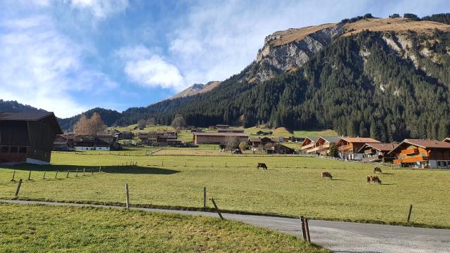 Im Berner Oberland leben viele Wildtiere. Ihr Bestand wird von ausgebildeten Jäger:innen reguliert. Die Wildfelle werden nach der Jagd meistens vernichtet. DuBois et fils nutzt diese einzigartigen Naturprodukte und lässt daraus Lederetuis herstellen. 