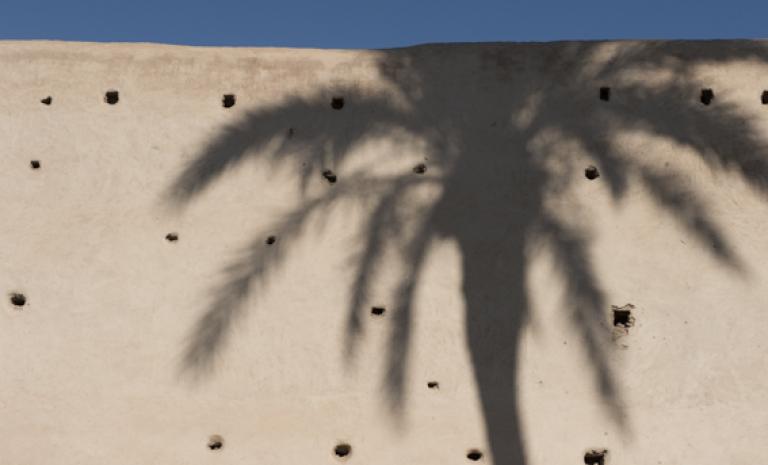 Mauer Schatten einer Palme und blauem Himmel
